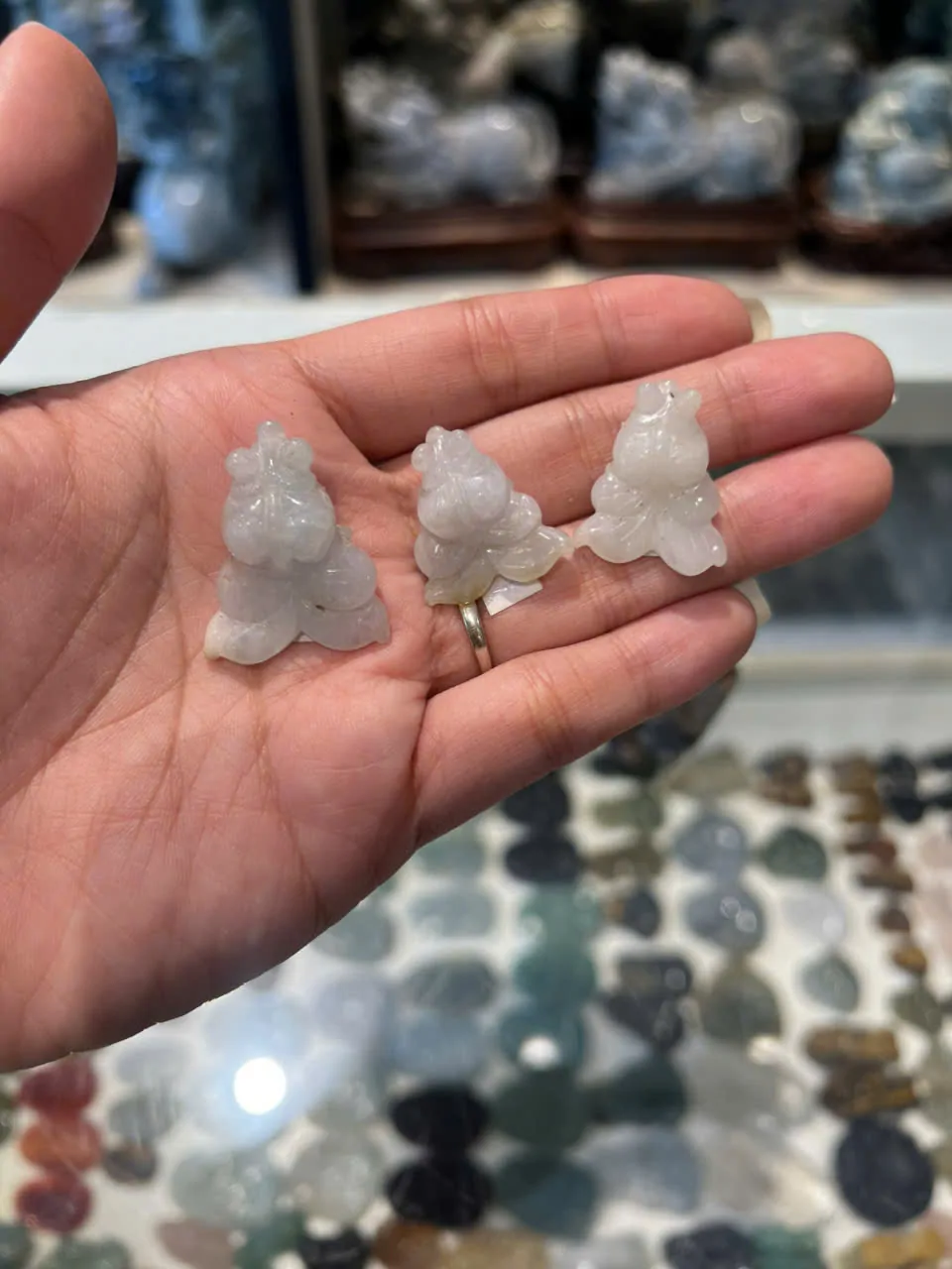 Cá vàng mắt lồi ngọc Myanmar S849